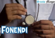 Fonendi