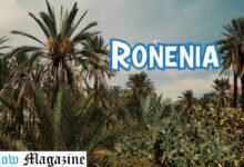 Ronenia
