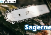 Sagerne