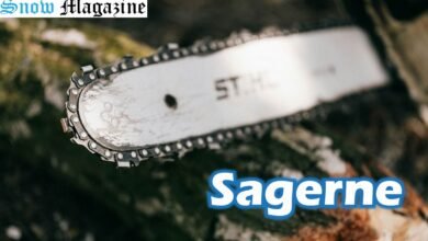 Sagerne